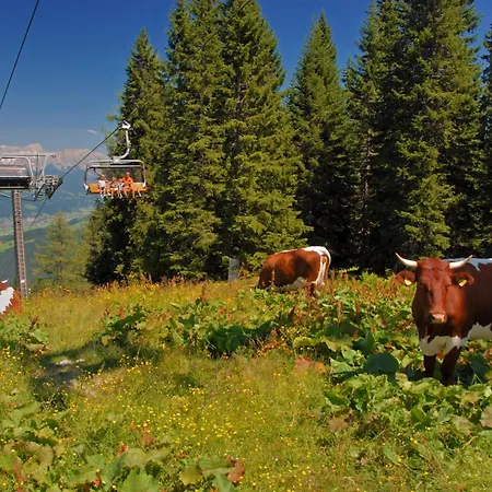 Lägenhet Reitdorf-2 By Interhome *